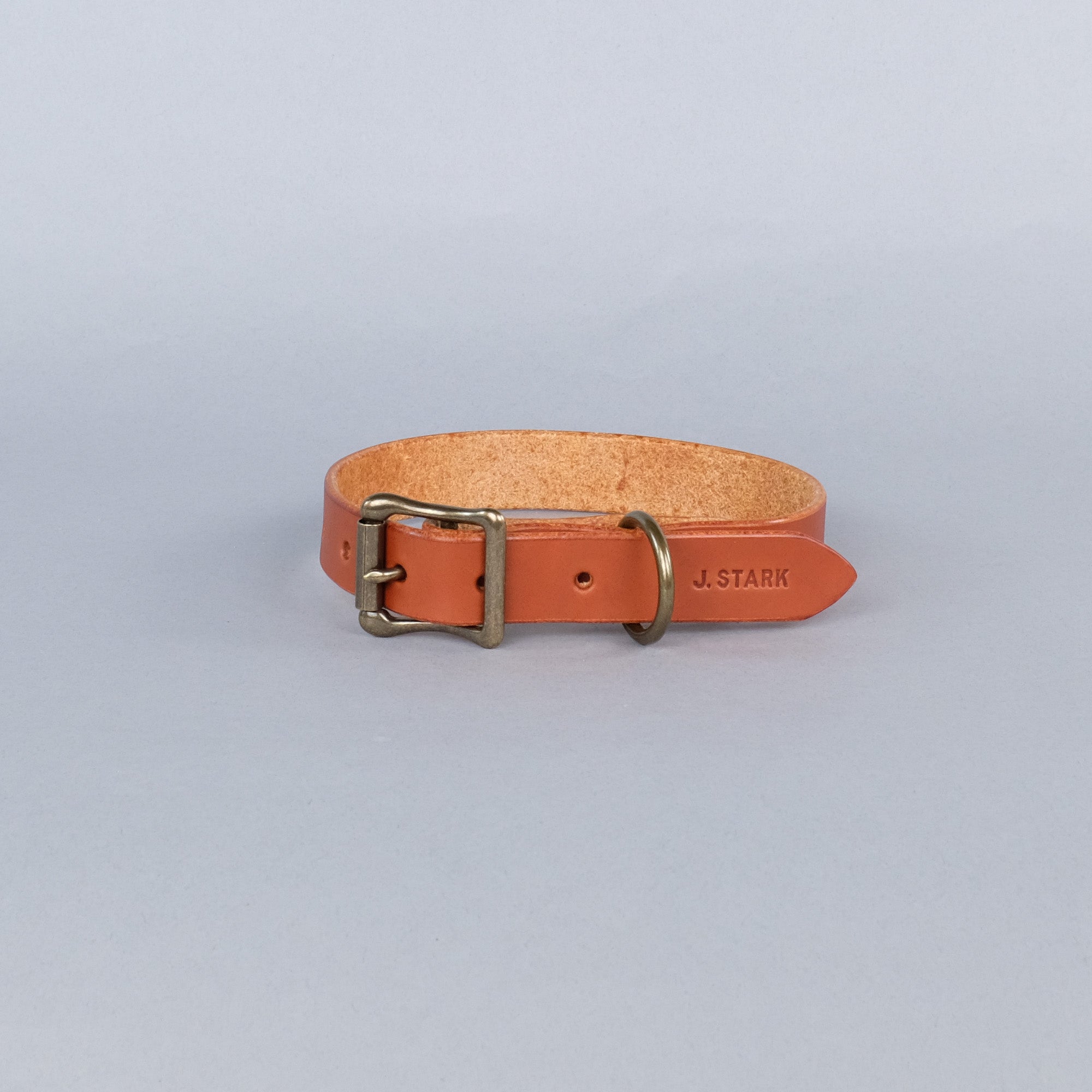 Seymour Dog Collar Standard