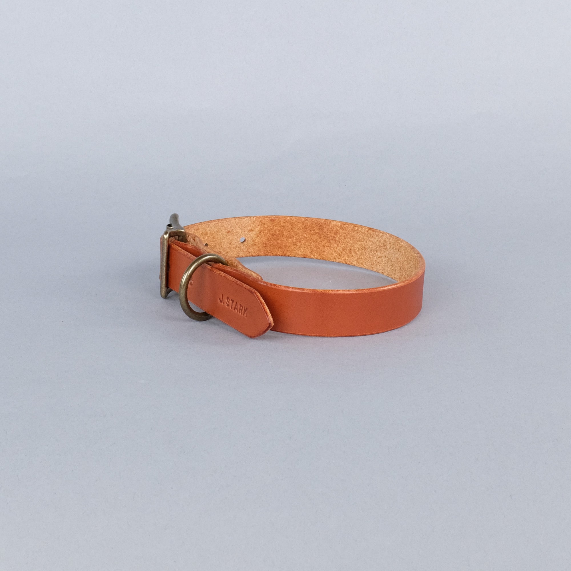 Seymour Dog Collar Standard